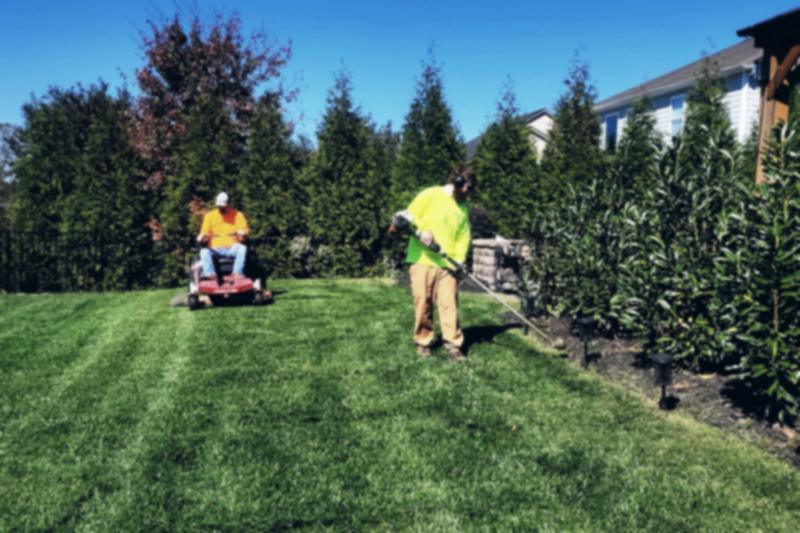 Landscaping & grounds — Xpert Property Plus